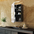 Silver Bathroom Medicine Cabinet 20x30 Inch, Aluminum Mirror Cabinet with Storage, 6 Adjustable Glass Shelves, Waterproof Recessed or Surface Mount, Classic Silver Finish, Quiet Closing