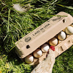 Hatortempt Reusable Paper Pulp Egg Cartons - 48-Pack, 12-Count - Pre-Printed Cartons for Date Labeling - Versatile Egg Baskets for Market & Home - Biodegradable Bulk Packs for Easy Transport
