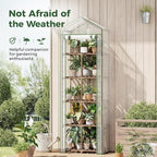 Bamworld 5-Tierd Outdoor Greenhouse 22" L×16" W×81" H Portable Green House with PE Cover Garden and Backyards Plant Shelves with Sturdy Eucalyptus Frame Roof Plant Stand Flower Pot Stand Display Rack